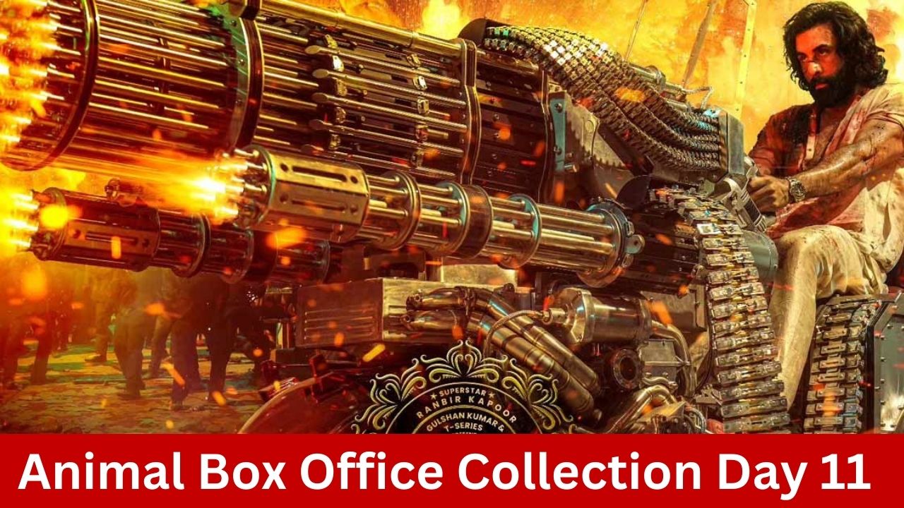 Animal Box Office Collection Day 11