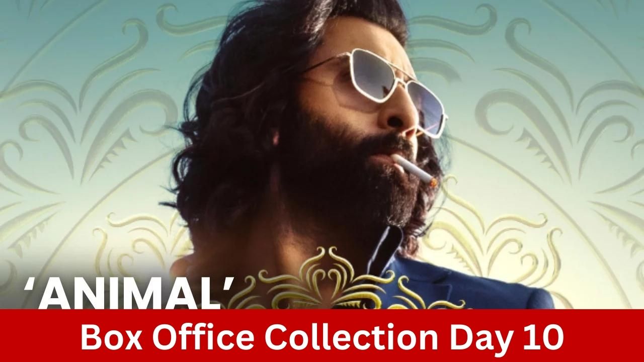 Animal Box Office Collection Day 10